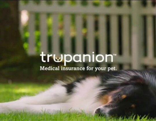 Trupanion: Unleashing Peace of Mind in Pet Care