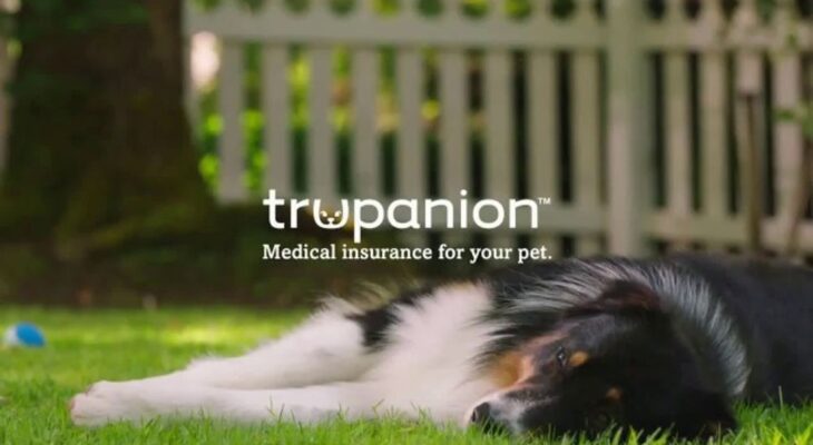 Trupanion: Unleashing Peace of Mind in Pet Care